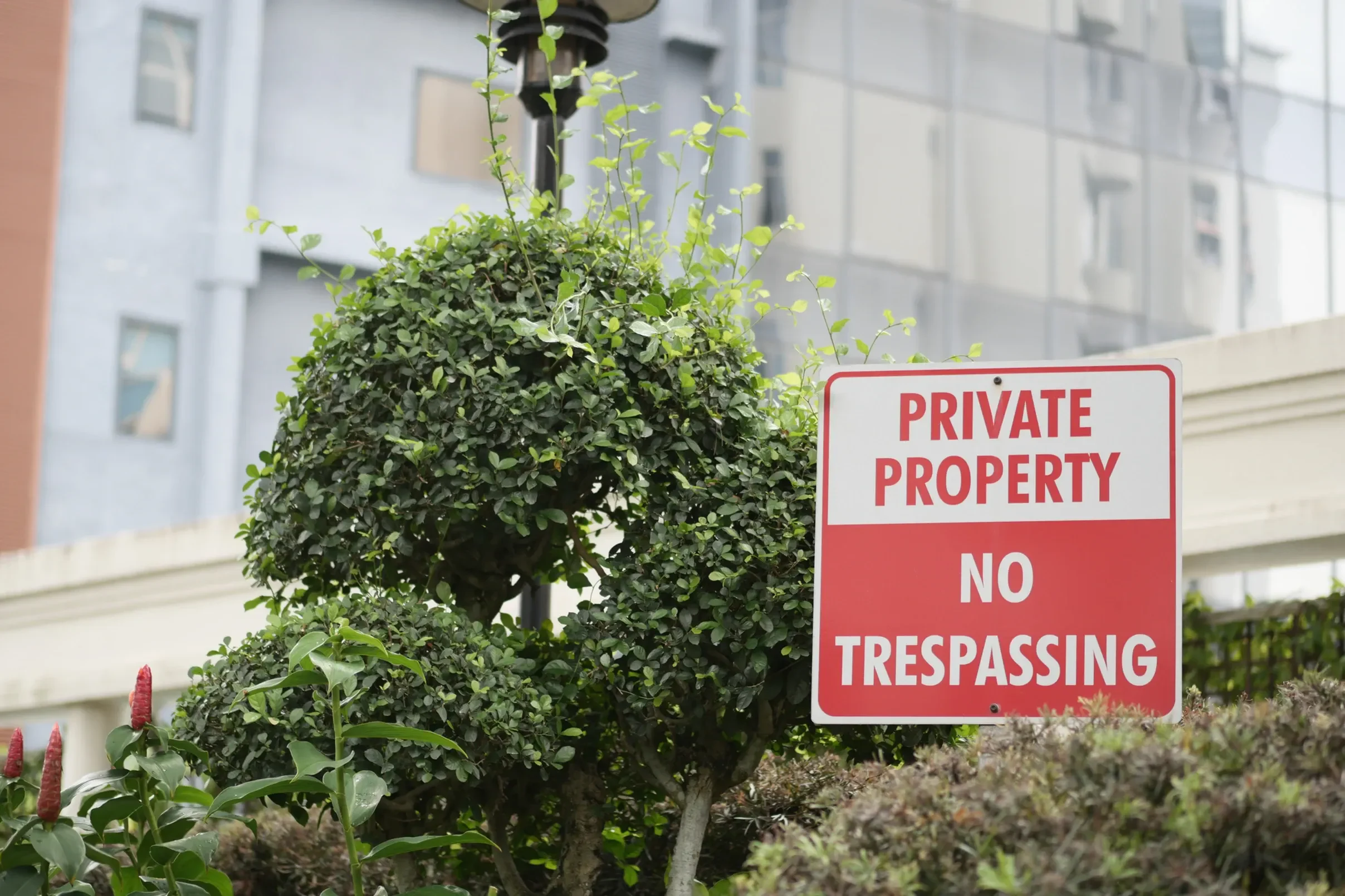 How to Legally Steal Property (and how to safeguard your land)